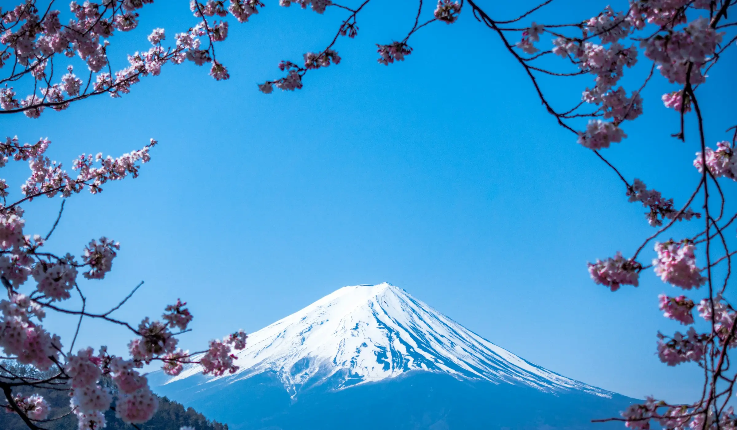 Mount Fuji seen across water under a clear sky